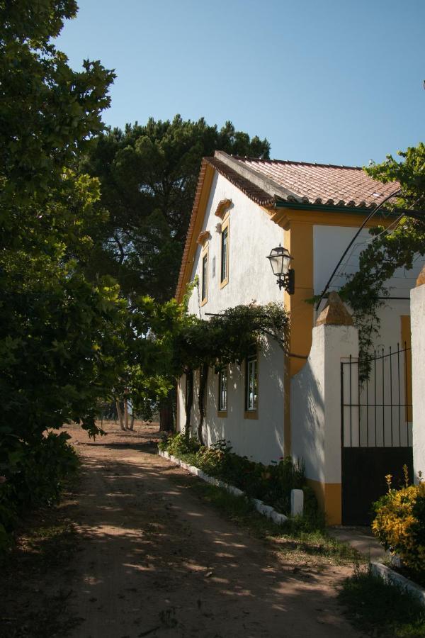 Quinta De Santana Da Varzea Abrantes Bagian luar foto