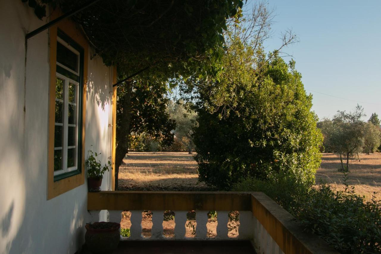 Quinta De Santana Da Varzea Abrantes Bagian luar foto