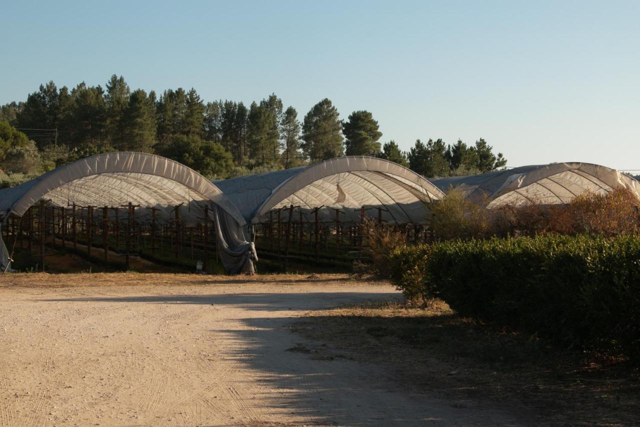 Quinta De Santana Da Varzea Abrantes Bagian luar foto