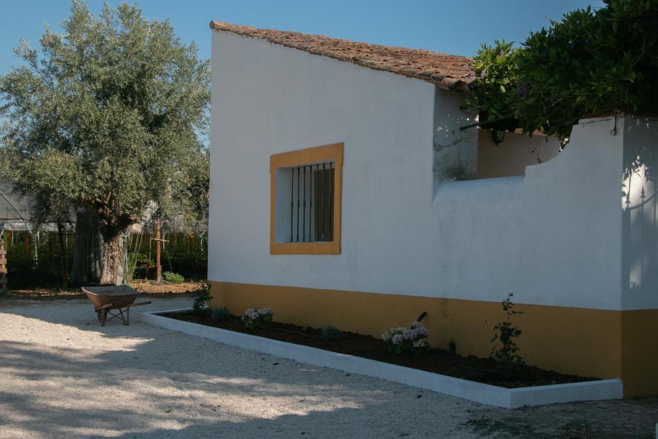 Quinta De Santana Da Varzea Abrantes Bagian luar foto