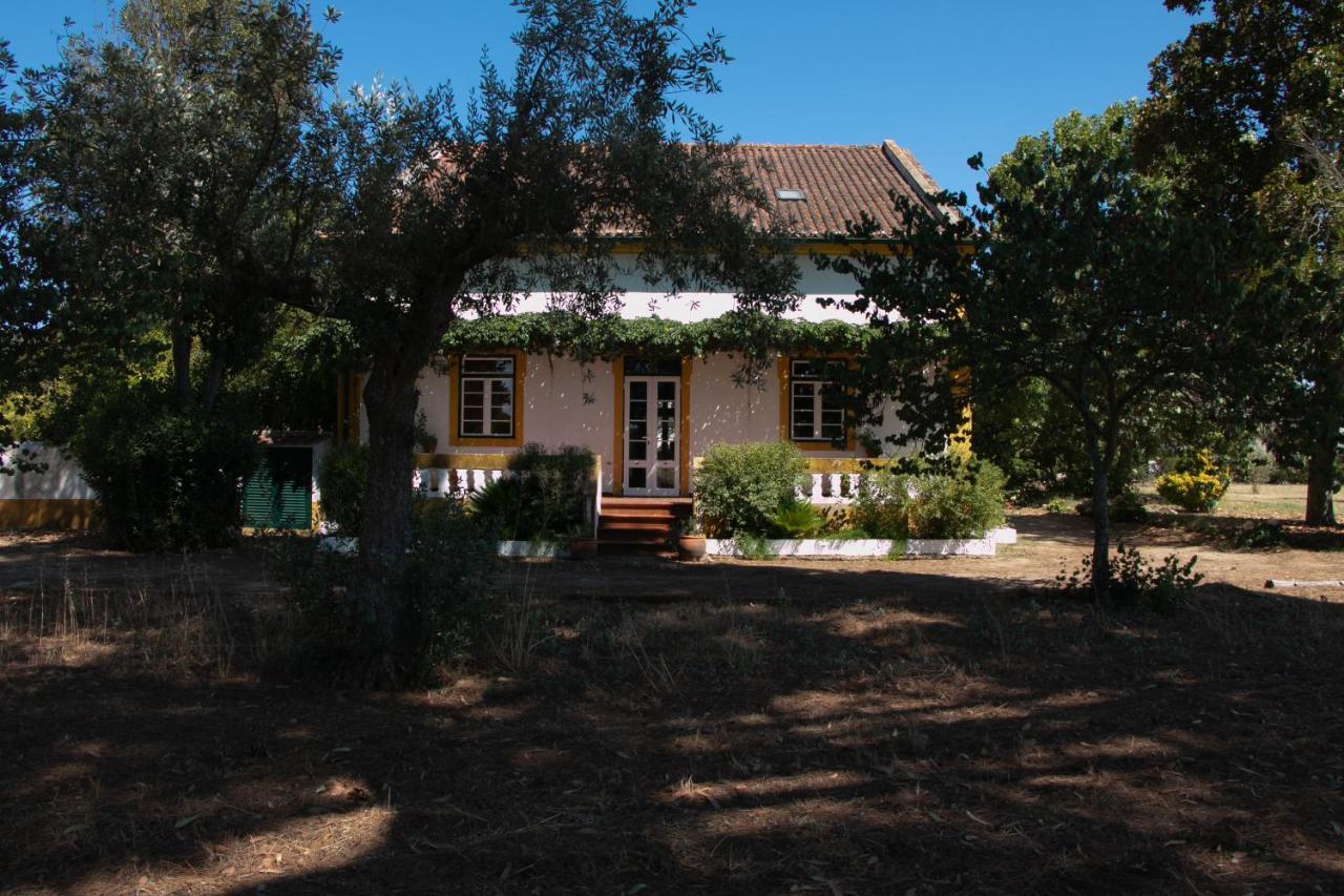 Quinta De Santana Da Varzea Abrantes Bagian luar foto