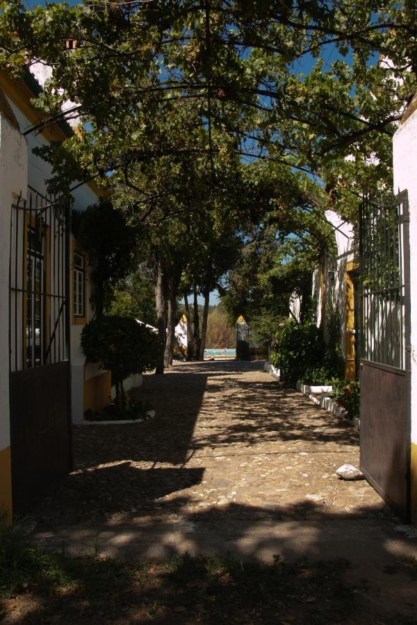 Quinta De Santana Da Varzea Abrantes Bagian luar foto