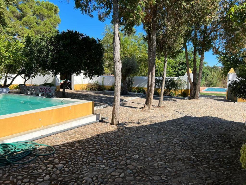 Quinta De Santana Da Varzea Abrantes Bagian luar foto