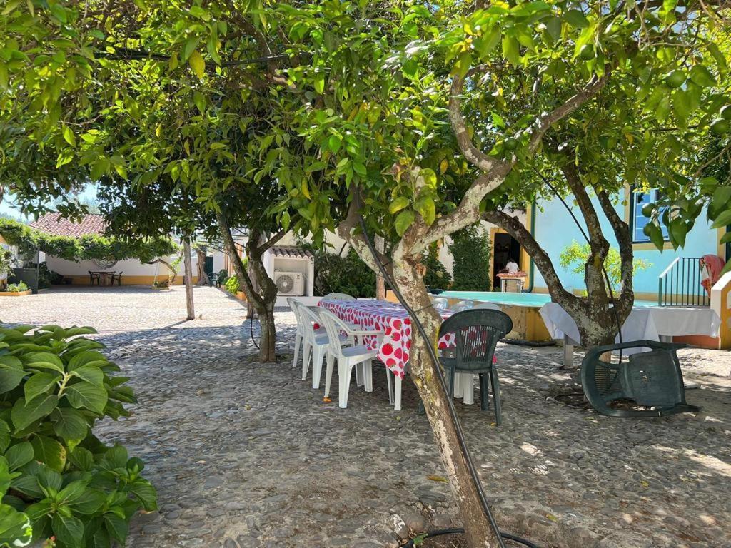 Quinta De Santana Da Varzea Abrantes Bagian luar foto